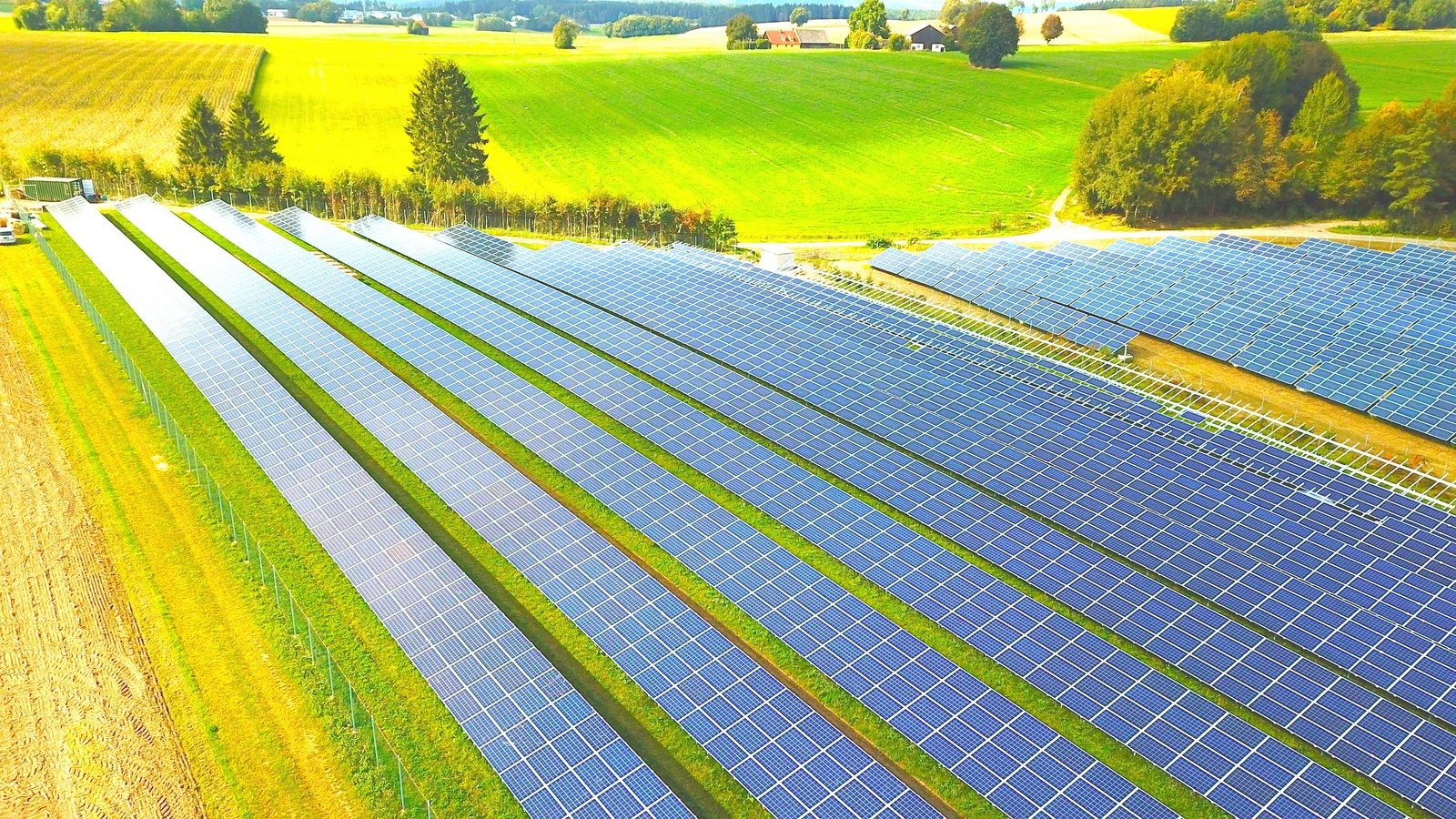 Rows of photovoltaic panels in a green field