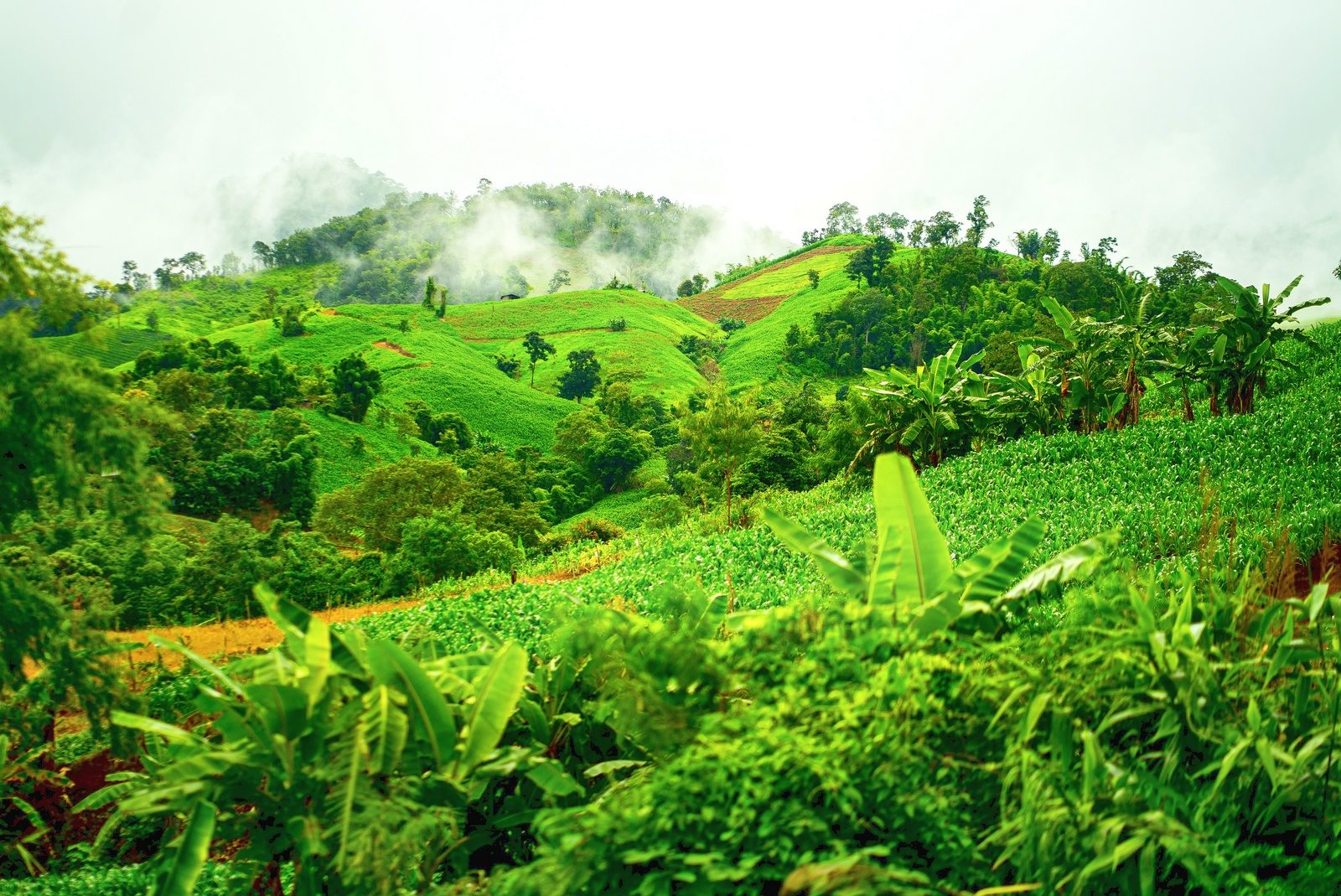 Green hills with clouds